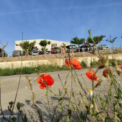 Processed 2c029451 1778 4526 9d23 Bdf7a2fb2aa7 Hv3a78ew