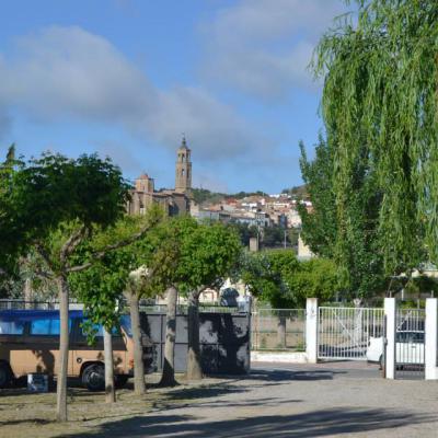 1235097 596442603751606 1750151251 N