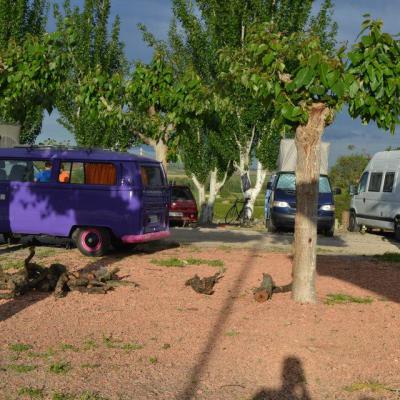 1239861 596441710418362 1776811069 N