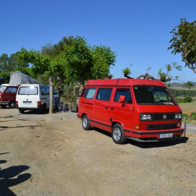 1236618 596643717064828 692596647 N